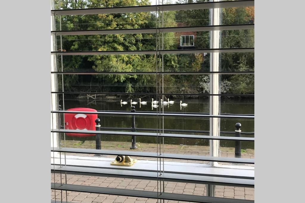 Belle View Cottage Bewdley Dış mekan fotoğraf